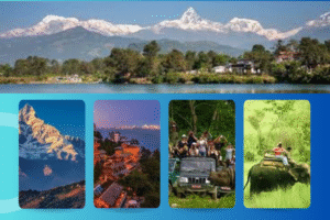 Tour Package Price